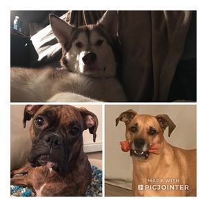 Meet your Posher, Jordan